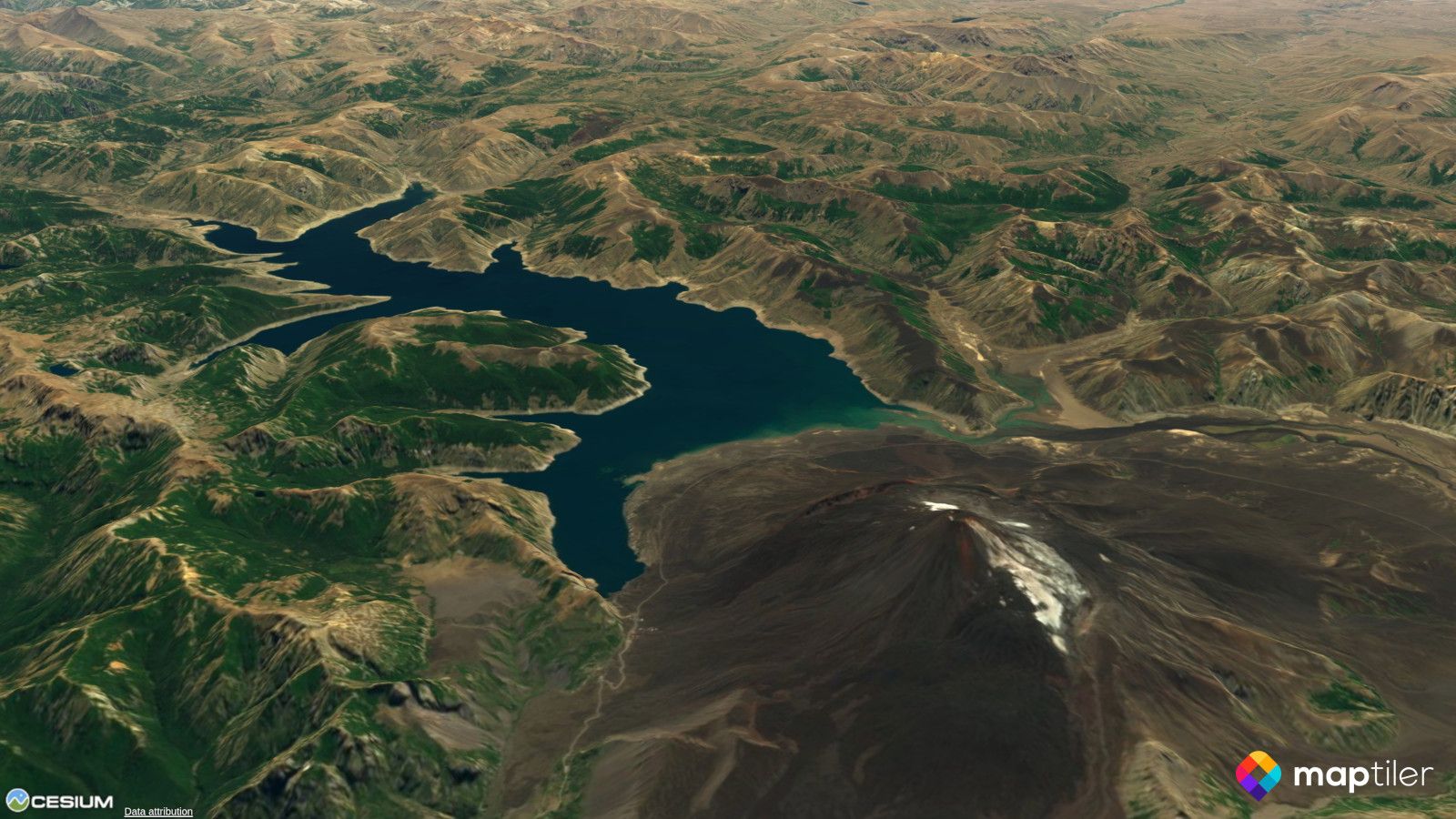 Free cesium tiles